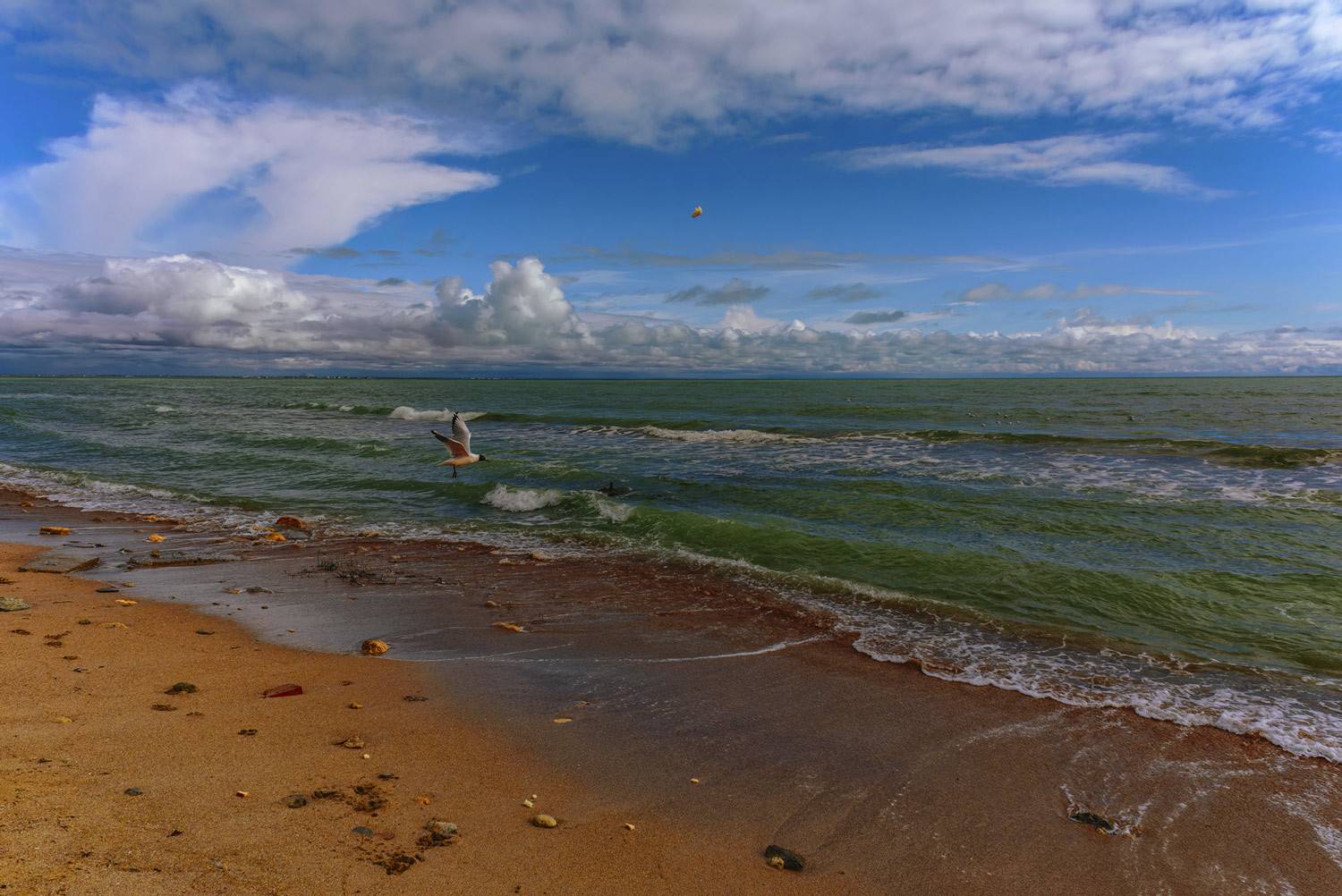 , Владимир Гамаюнов