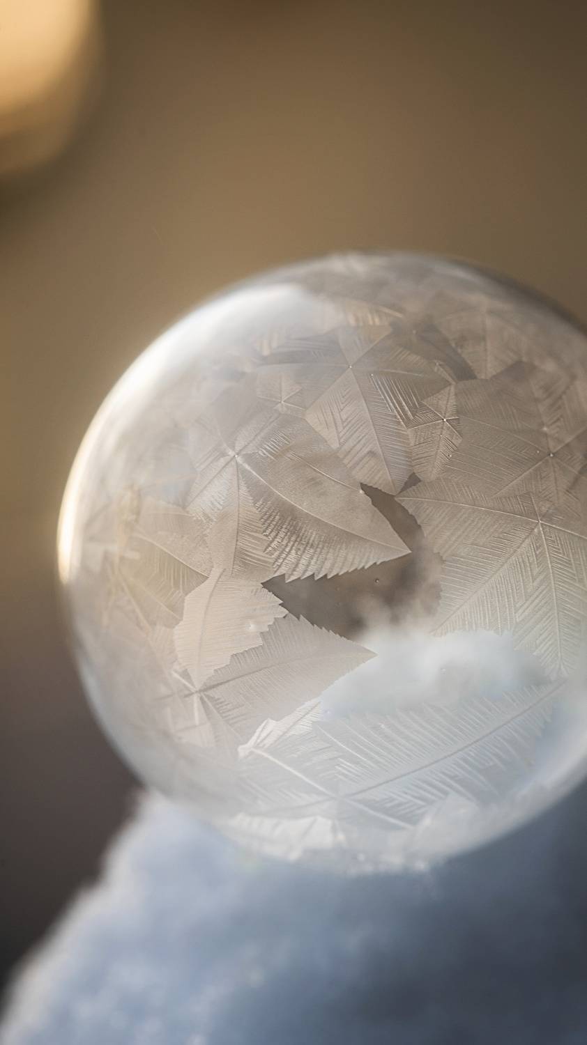 макро, зима, macro, frozen, winter, Мария Обидина