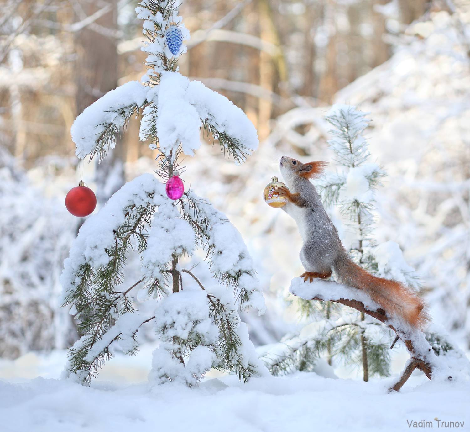 , Вадим Трунов
