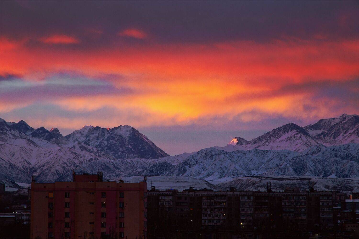 кыргызстан, бишкек, Элина Магалимова