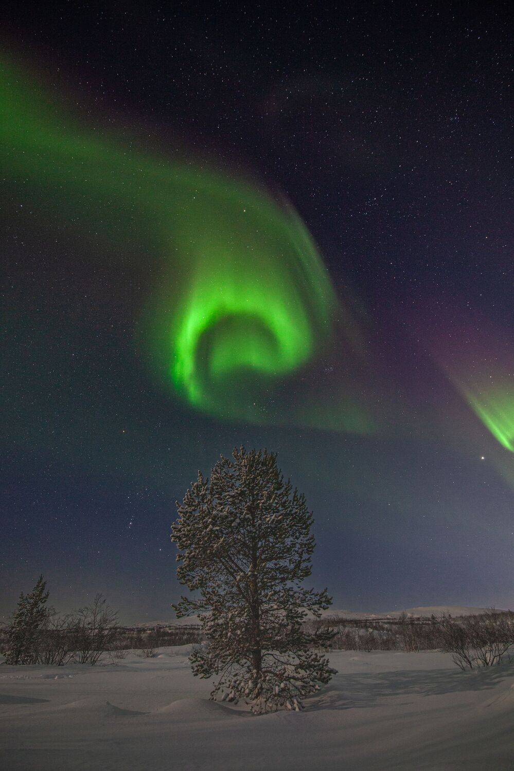 , Егор Бушмакин