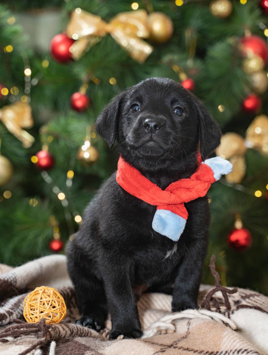 , Касьянов Игорь