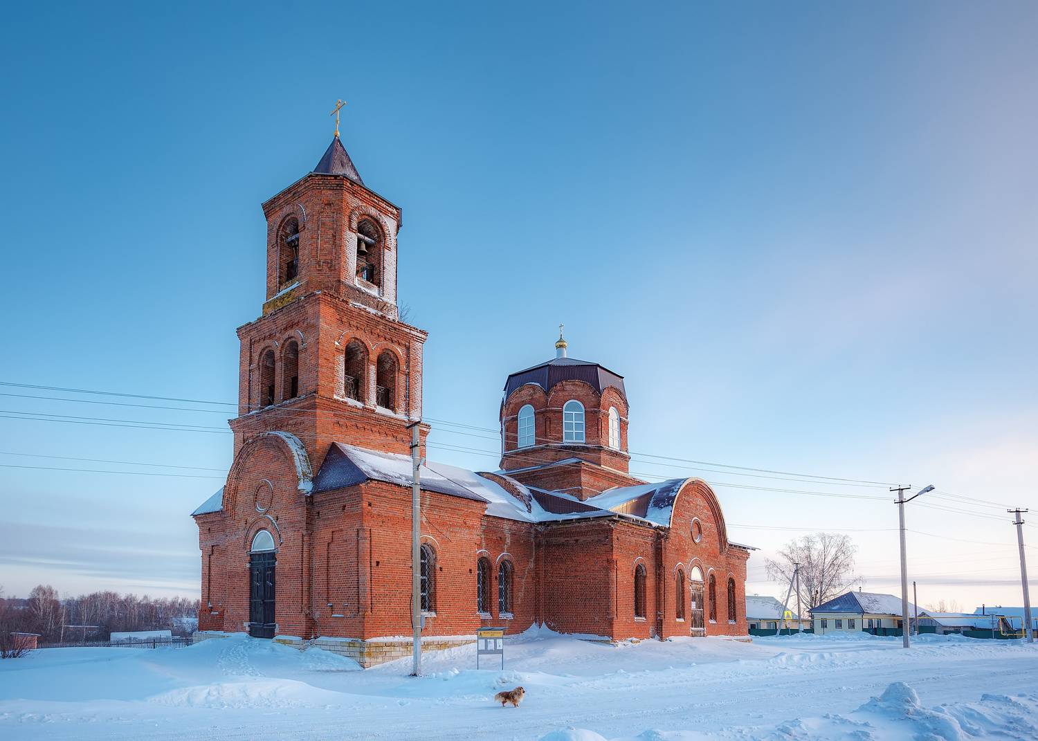 , Никитин Алексей