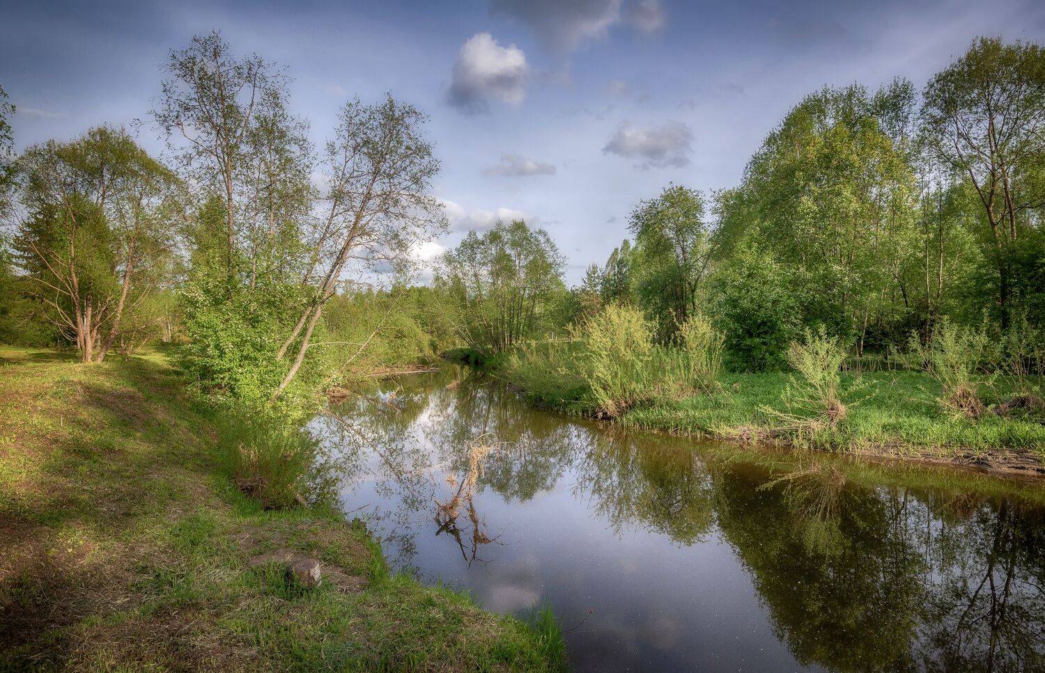 речка, лес, весна, май, Сергей Аникин