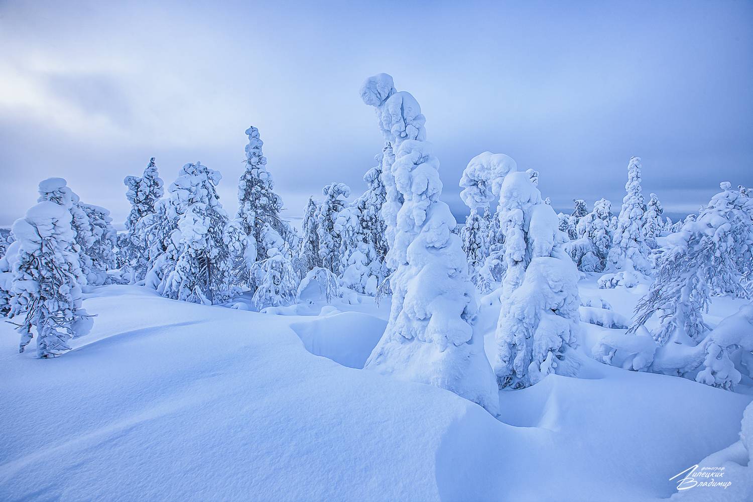 кольский, заполярье, кандалакша, зима, Липецких Владимир