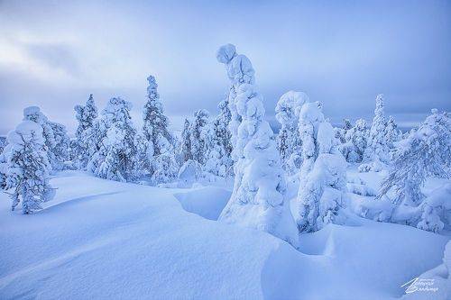 Зима на Кольском