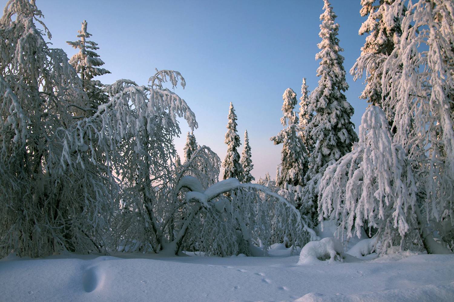 швеция,  Lapland