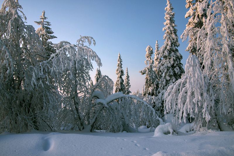швеция Снежная фото превью