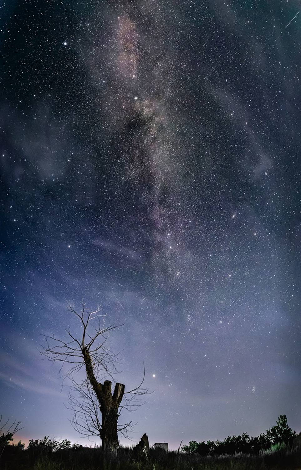 , Савенко Кирилл