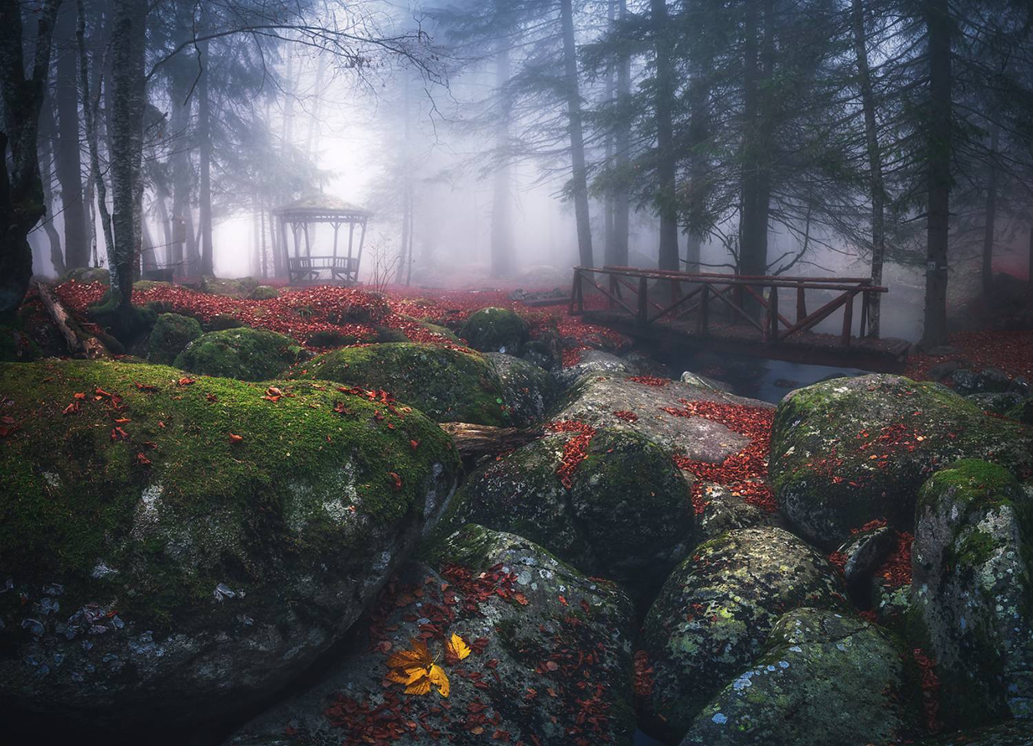 landscape nature scenery forest wood autumn mist misty fog foggy river longexposure mountain rocks vitosha bulgaria туман лес oсень, Александров Александър