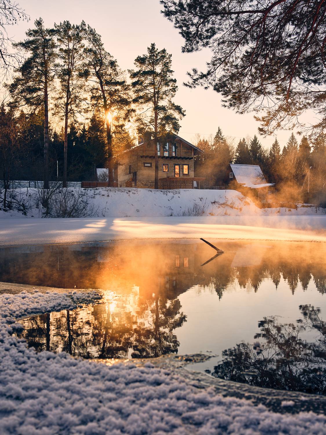 , Дмитрий Дыбов