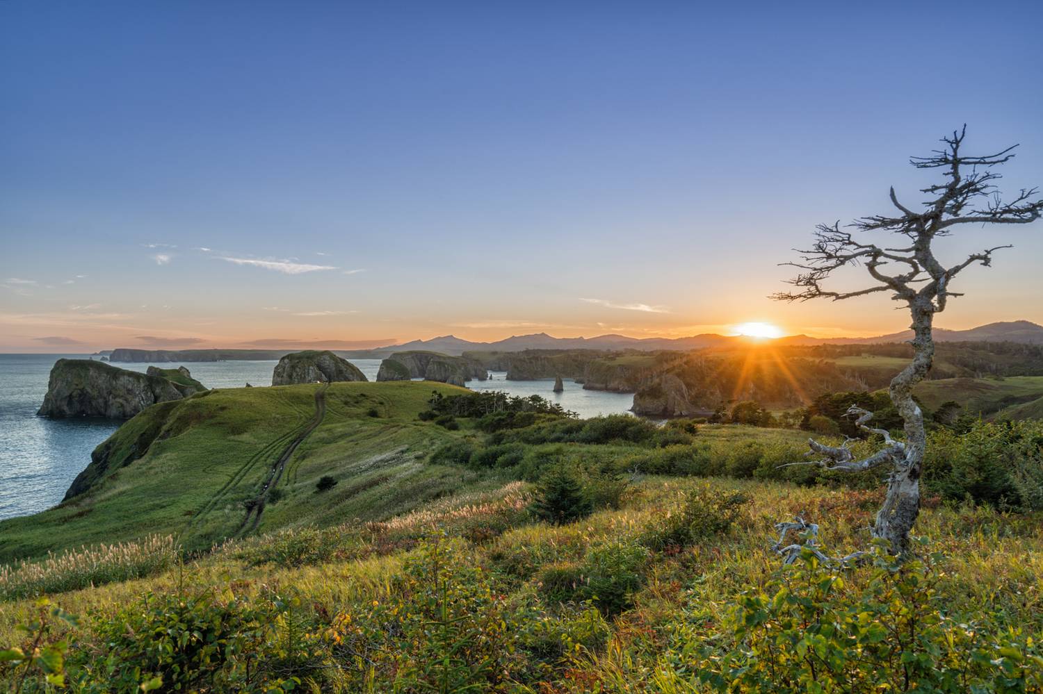 , Лариса Дука