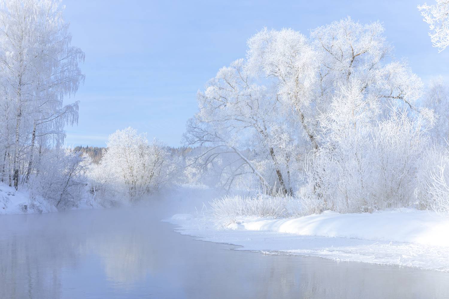 истра, Елена Гусева