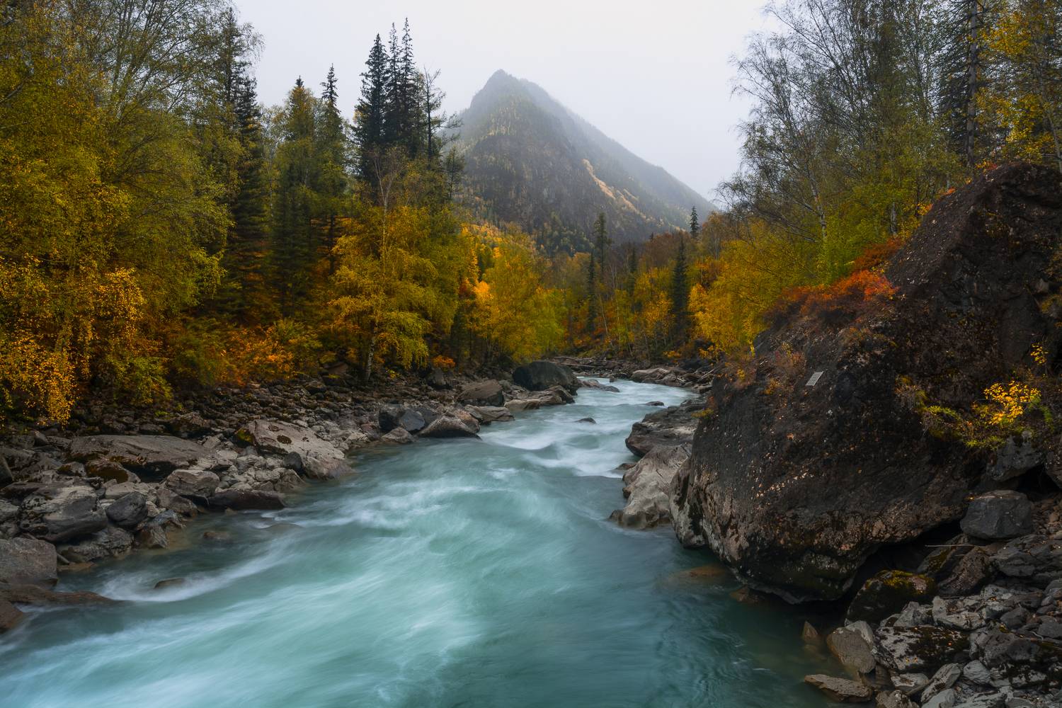 ароссия, горный алтай, река чуя, осень, пасмурно, Андрей Поляков