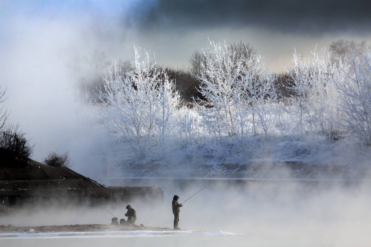 , Бибичков Михаил