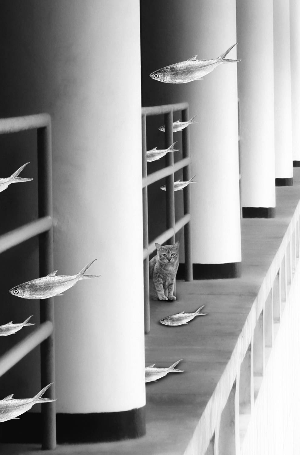 , Alex Yungan Harahap