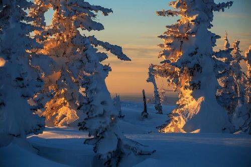 Золотом по Сибирским склонам...