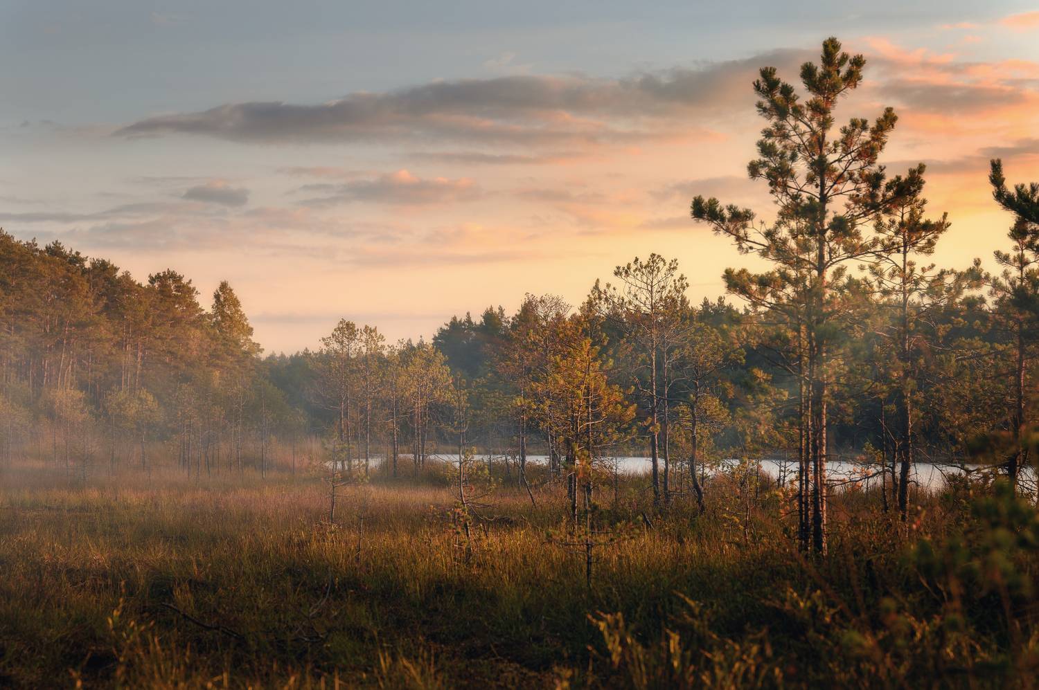 , Павел Тимошенко