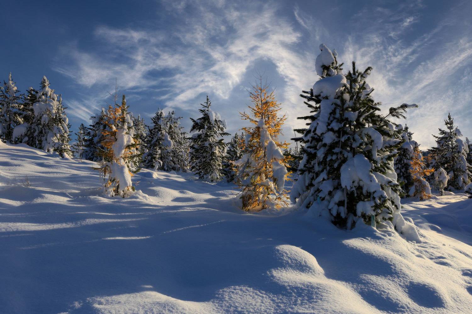 , Галина Хвостенко