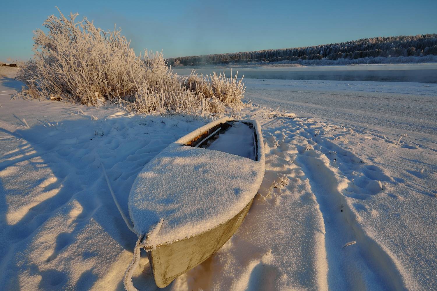 , Лисаускас Илья