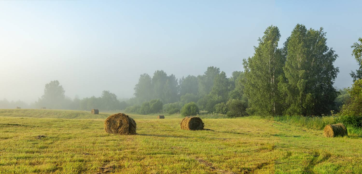 , Алексей Хахлов