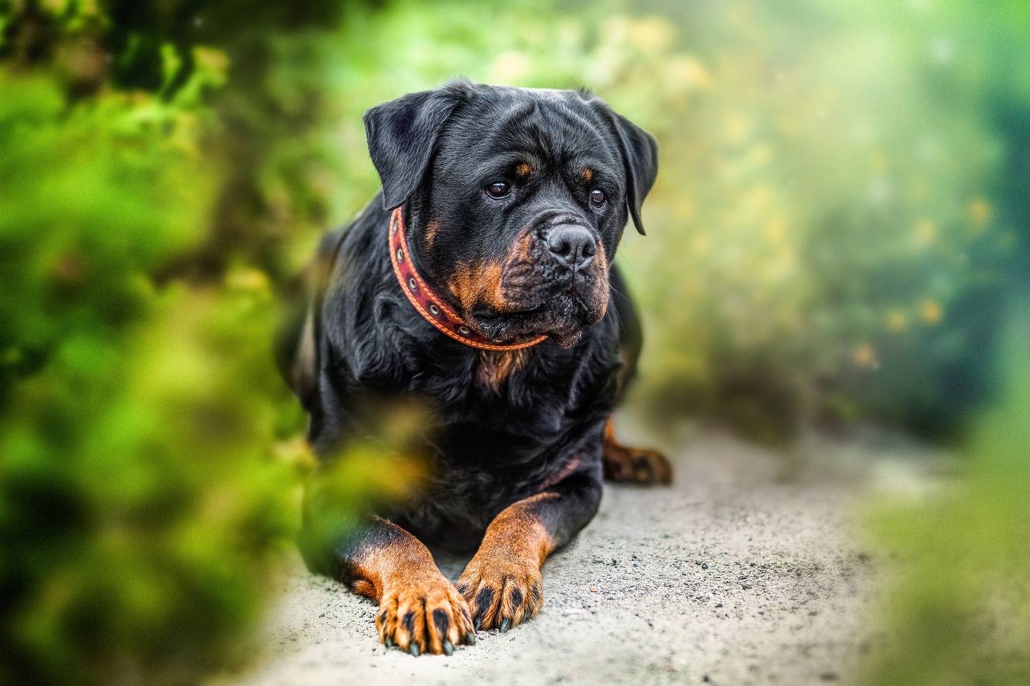 , Матвеева Наталия