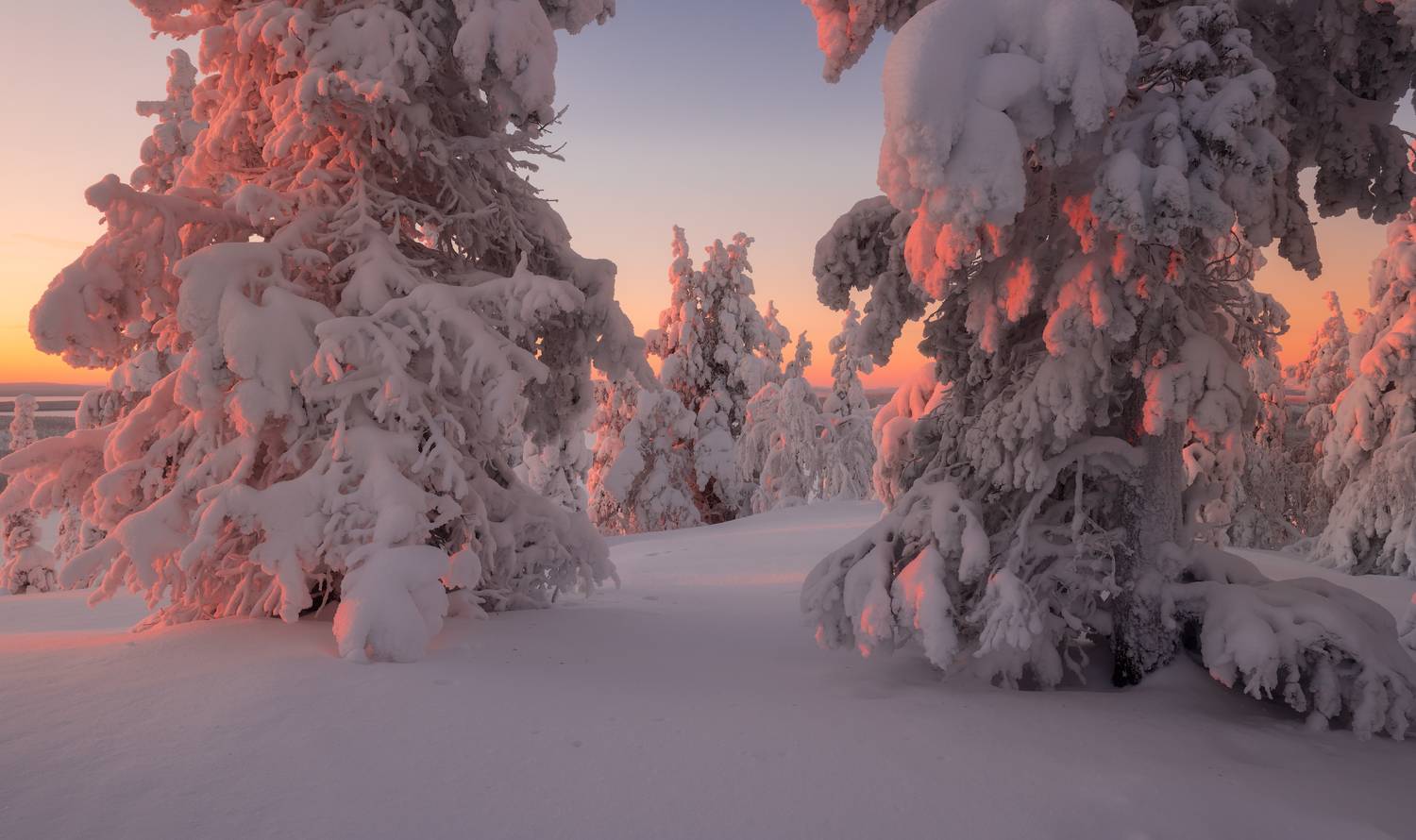 , Истомин Виталий