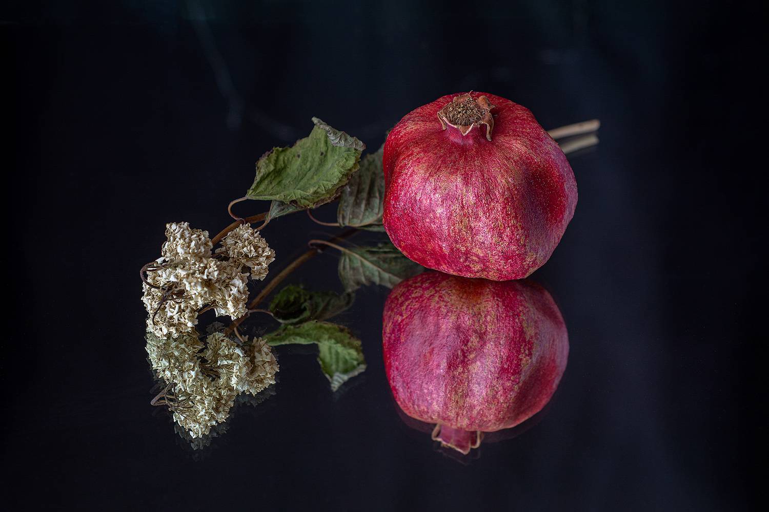 гранат, фрукт, красный, цветок сухой, Баг Алексей