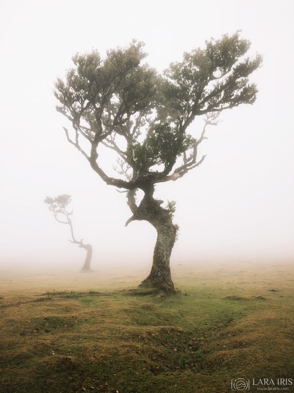 Другой мир фото превью