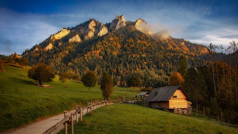 фото превью