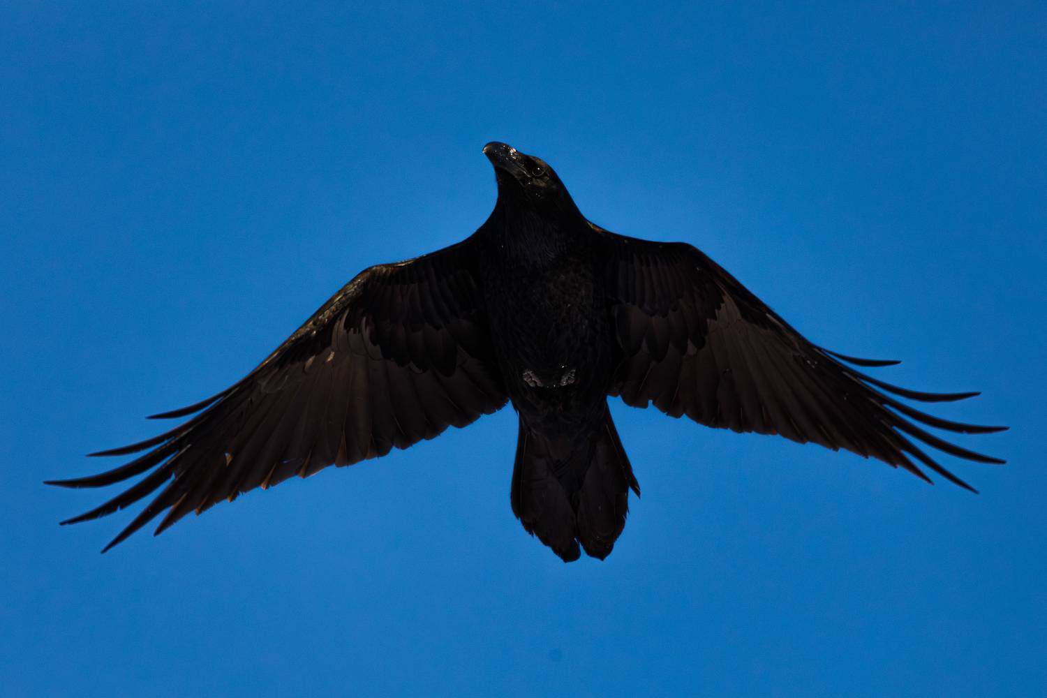 , Гильманов Артур