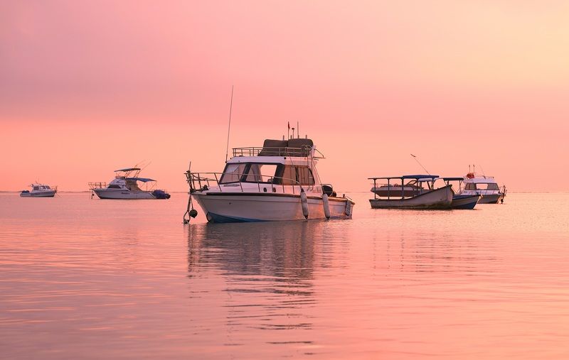 dawn, sunrise, shore, sea, ocean, sky, horizon, color, light, reflection, landscape, nature, morning, bright Pink morning фото превью