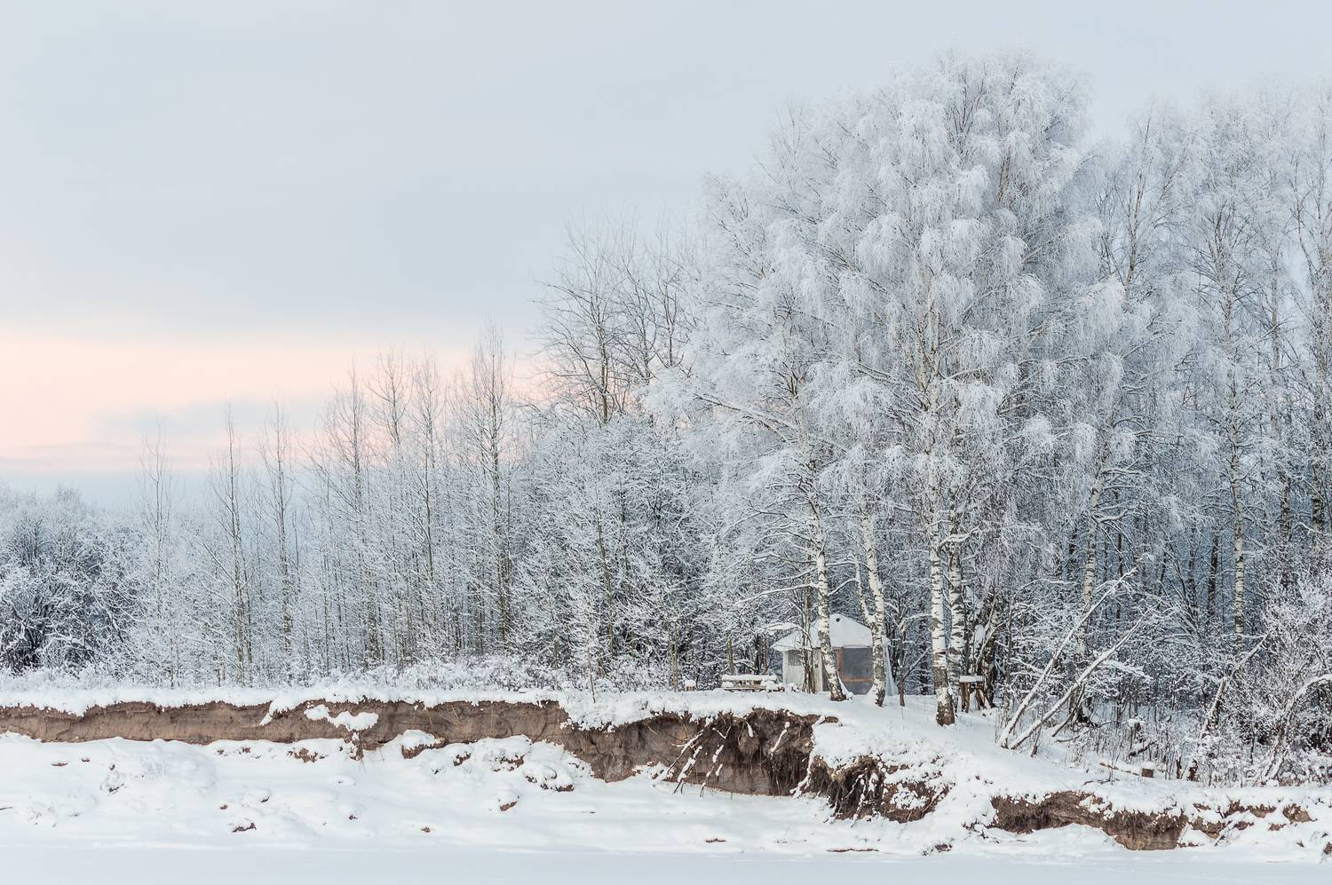 пейзаж, природа, зима, снег, лес, Mysov Ivan