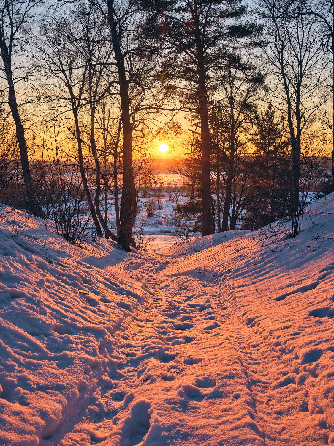 , Дмитрий Дыбов