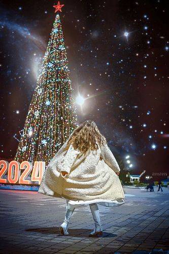 Новый 2024 год