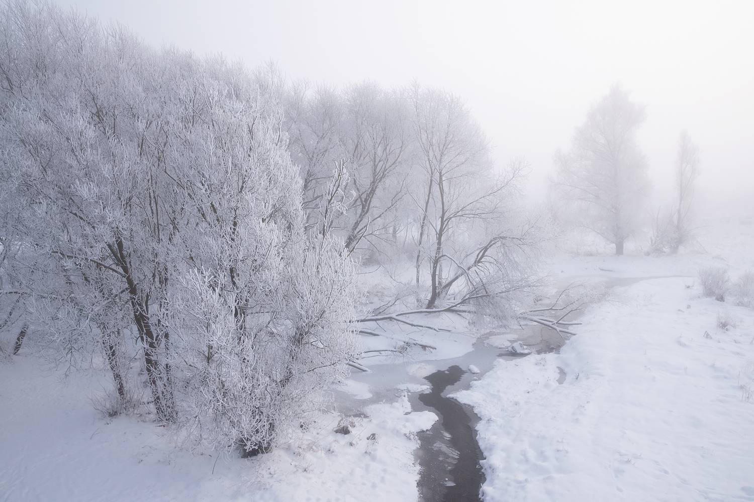 , Захаров Дмитрий