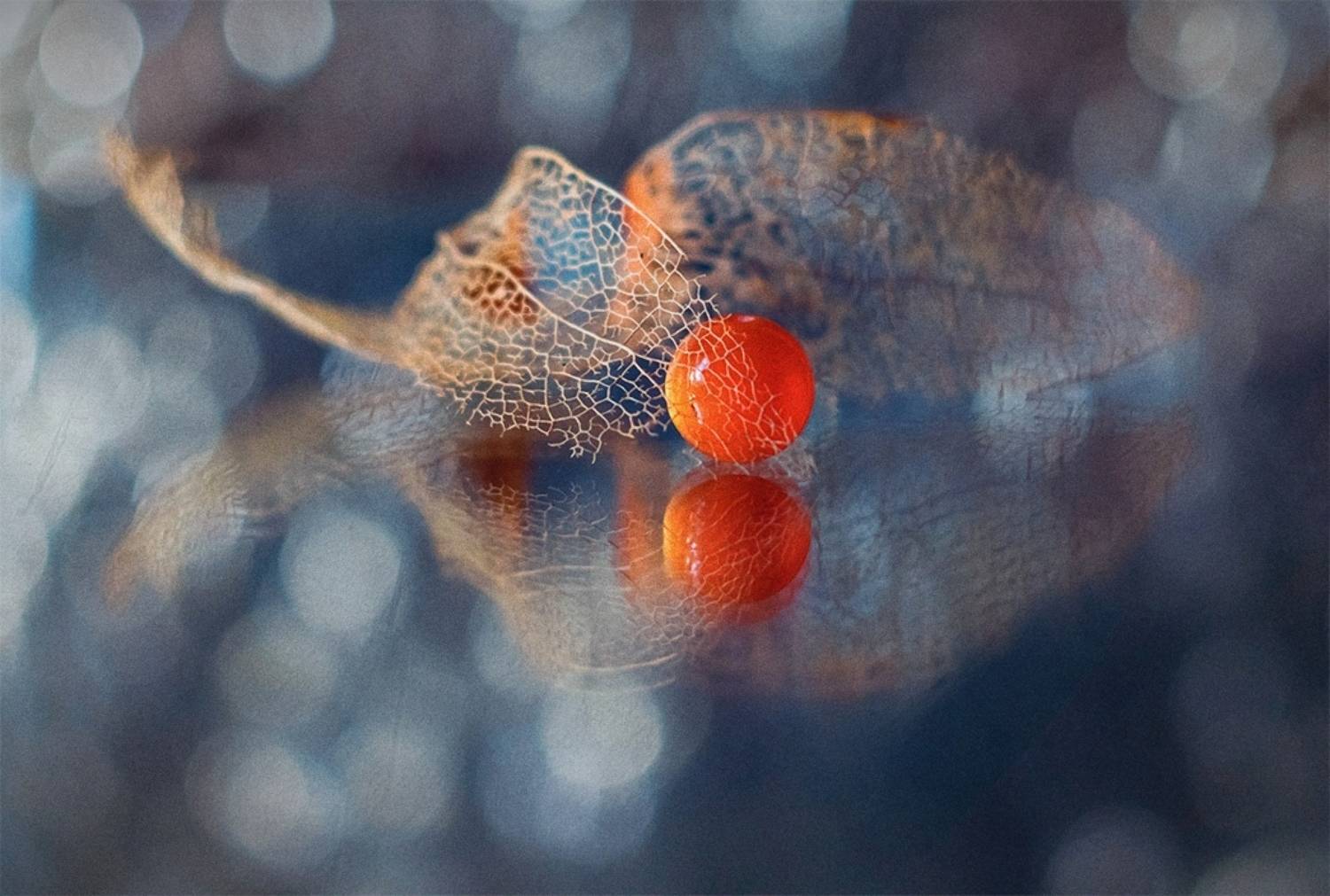 натюрморт, Оля