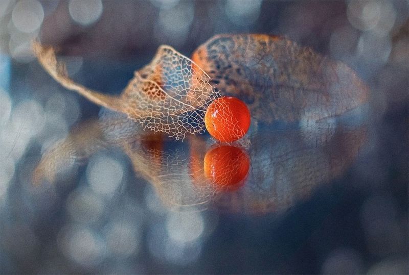 натюрморт Бусина фото превью