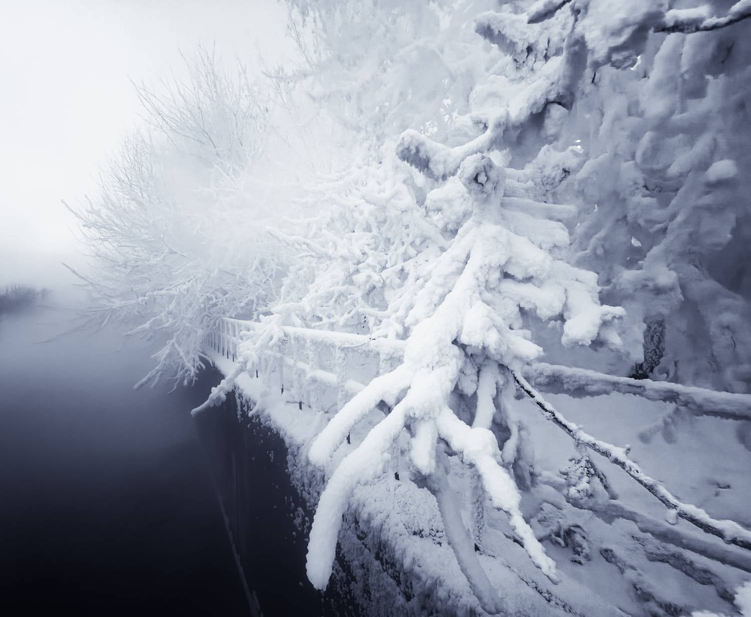 зима, пейзаж, мороз, деревья, Хомастя Настя