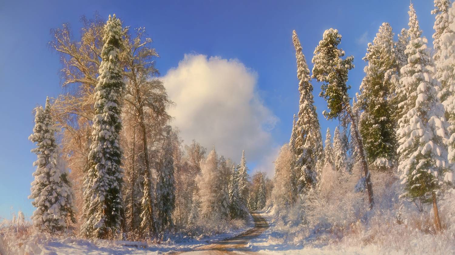 , Шварцман Евгений