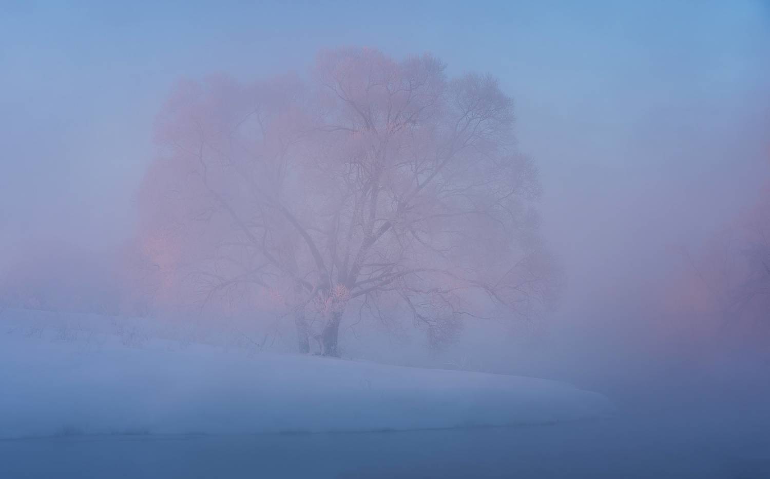 истра, зима, пейзаж, рассвет, новоиерусалимский монастырь, Левыкин Виталий