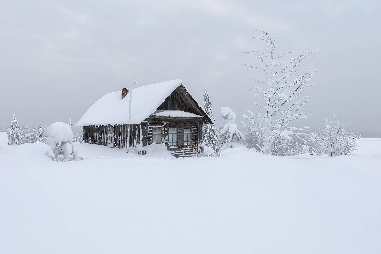, Александр Пашеничев