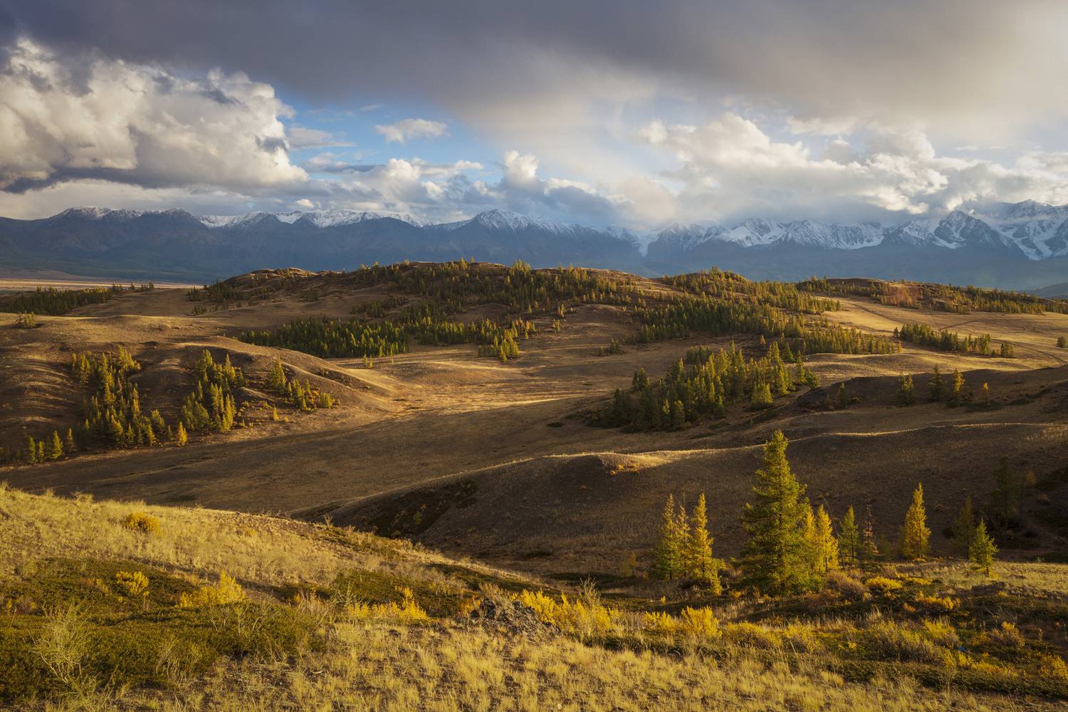 осень, горный алтай, пейзаж, природа, горы, свет,, Сергей Шульга