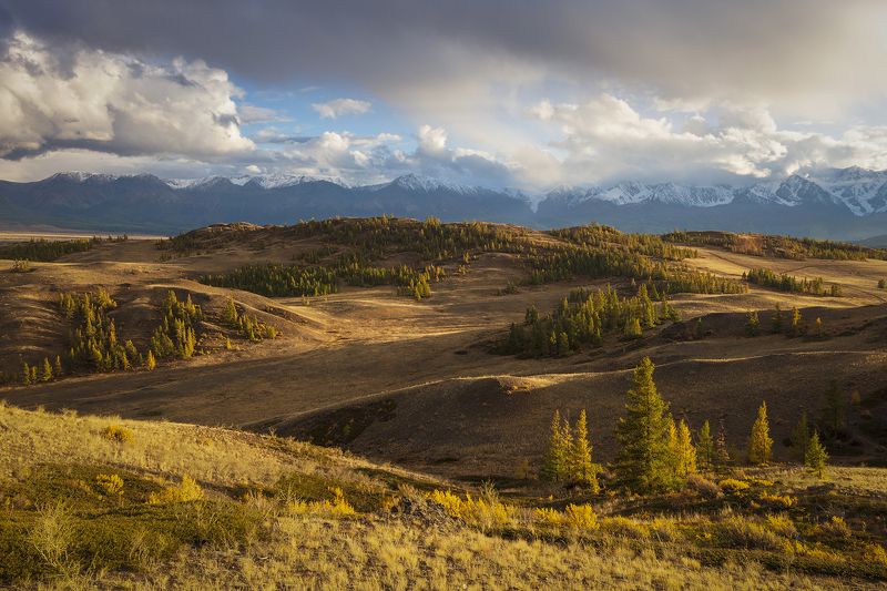 осень, горный алтай, пейзаж, природа, горы, свет, Осень. фото превью