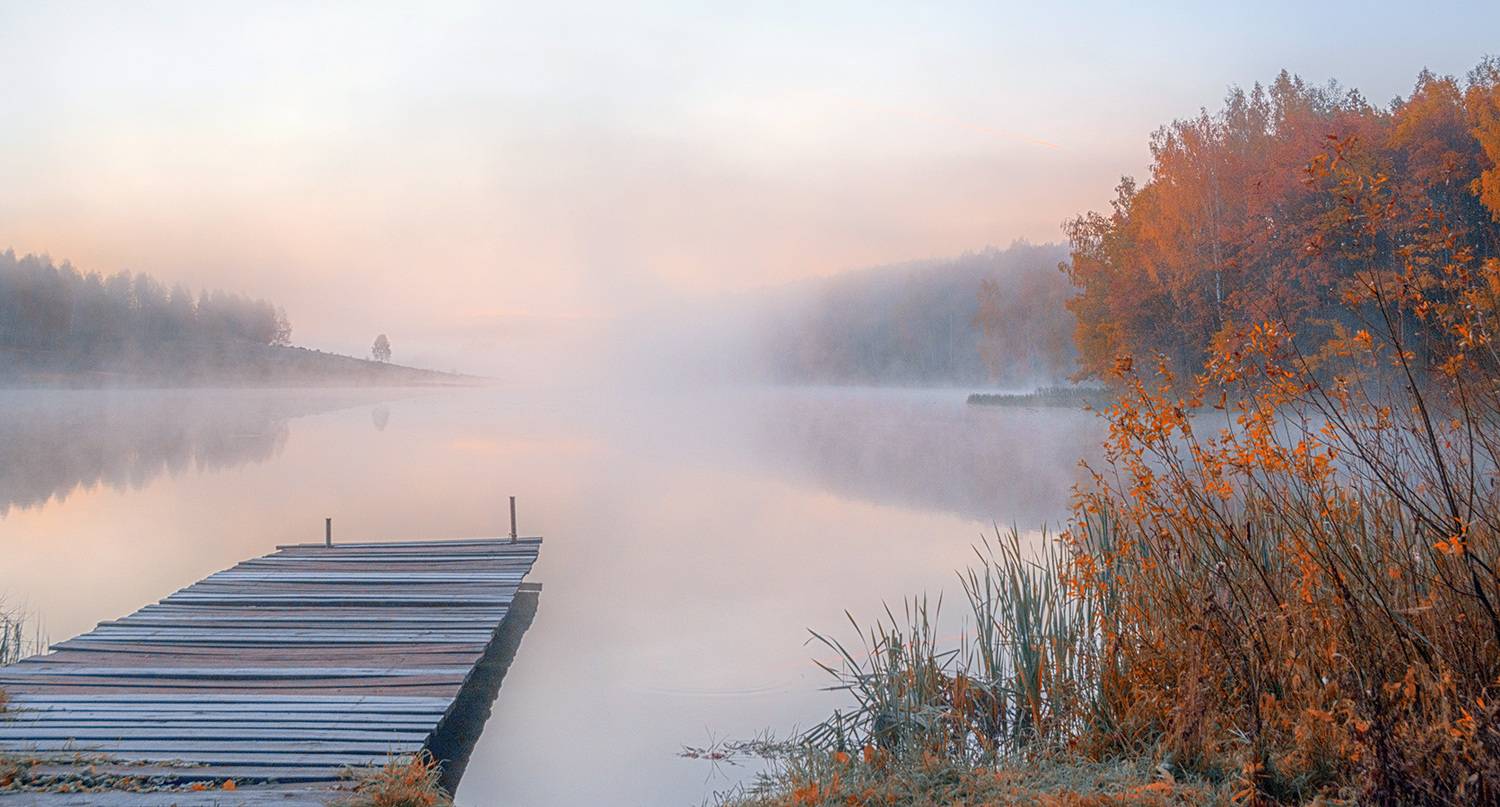 , Анатолий Зверев