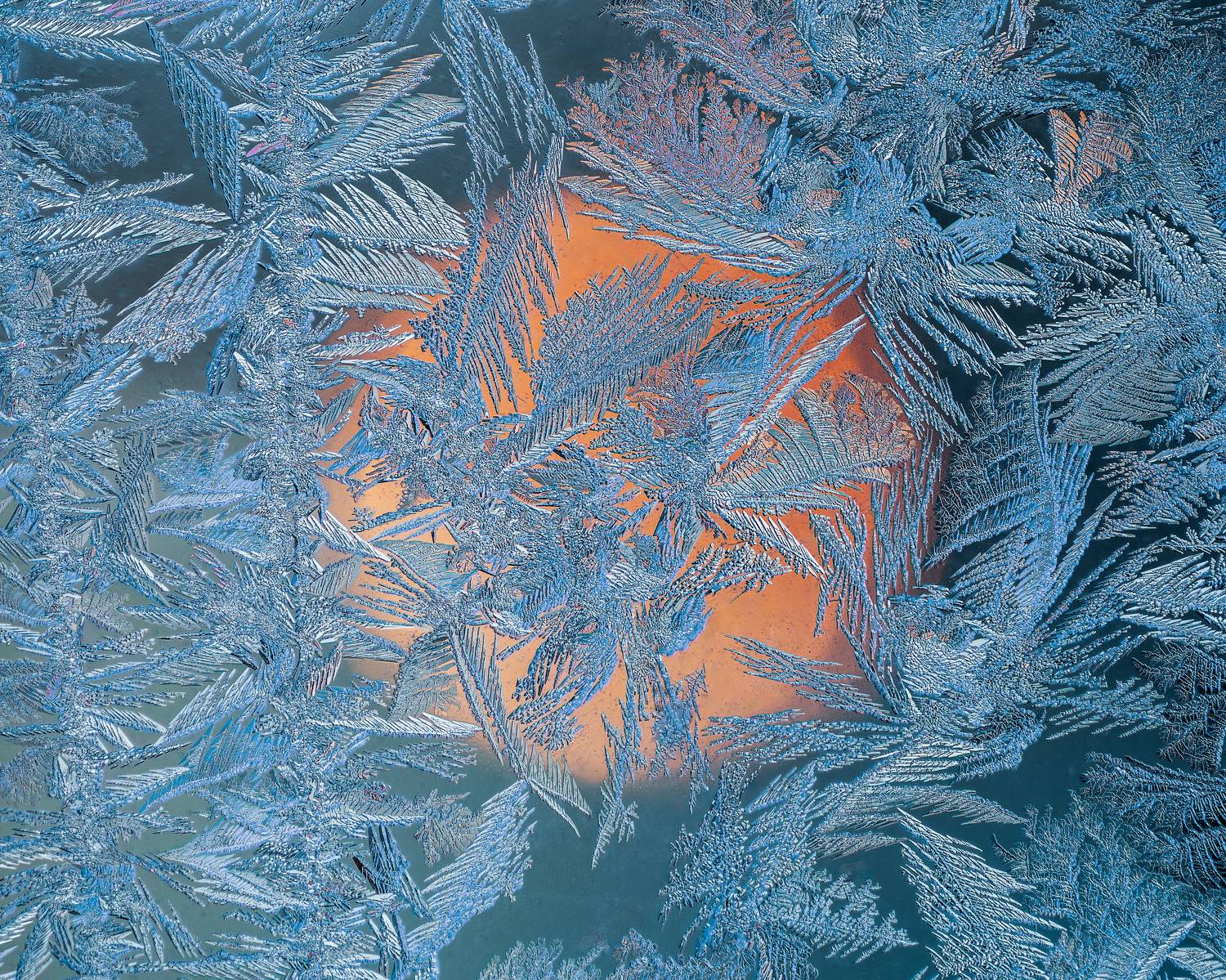 узоры на стекле, зимний узор, узоры на стекле, природа, новогоднее настроение, Мартыненко Дмитрий