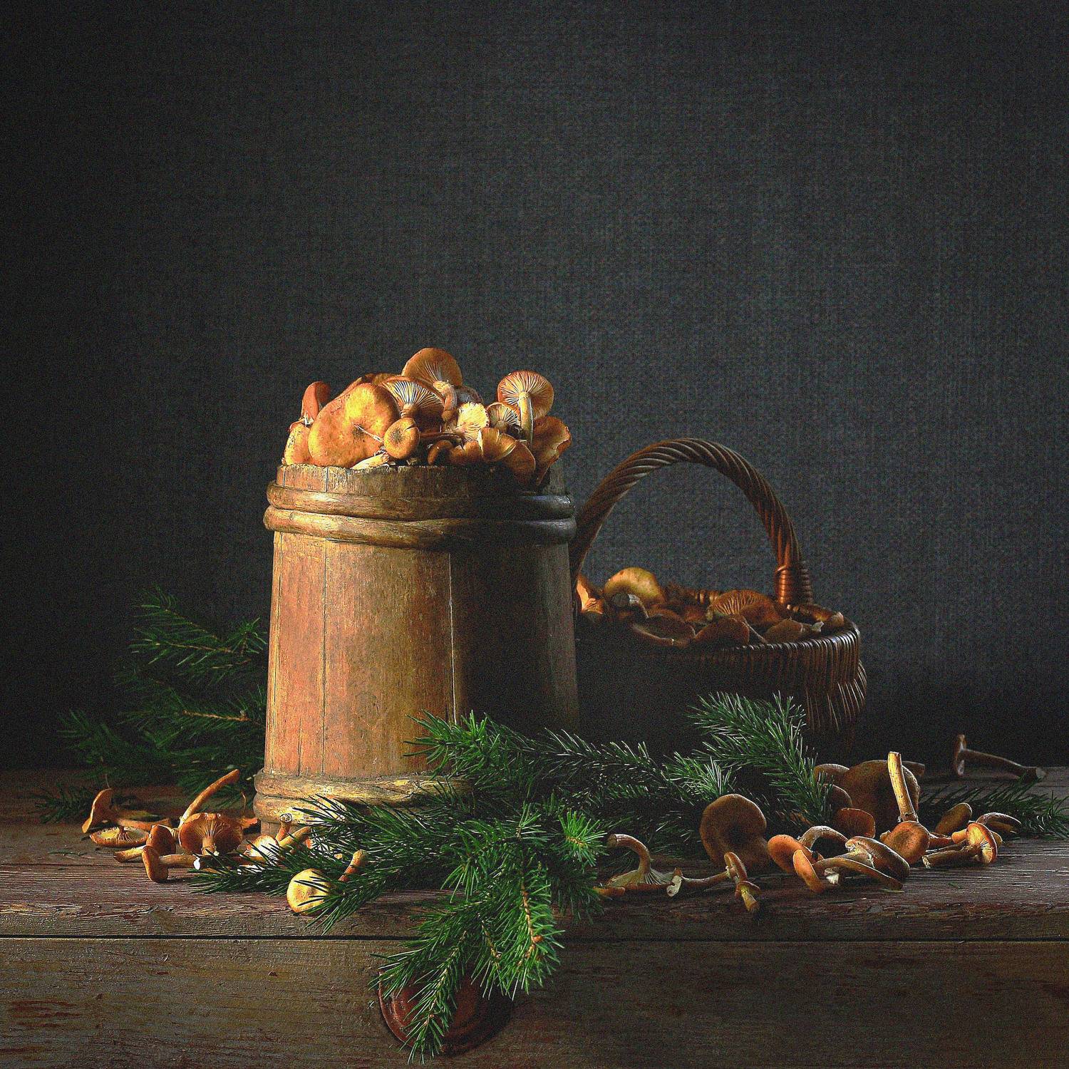 , Наталья Казанцева