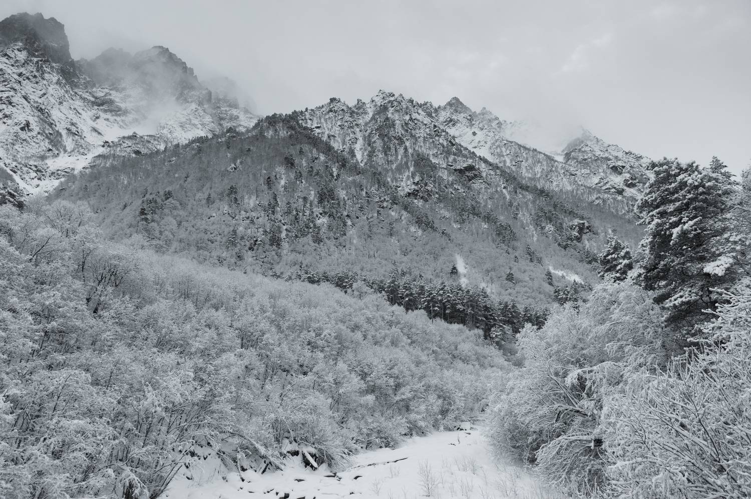 , Табуев Батраз