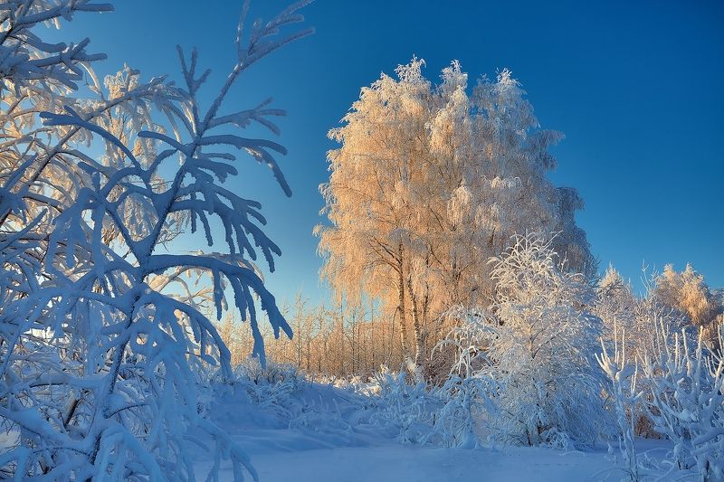 *** фото превью