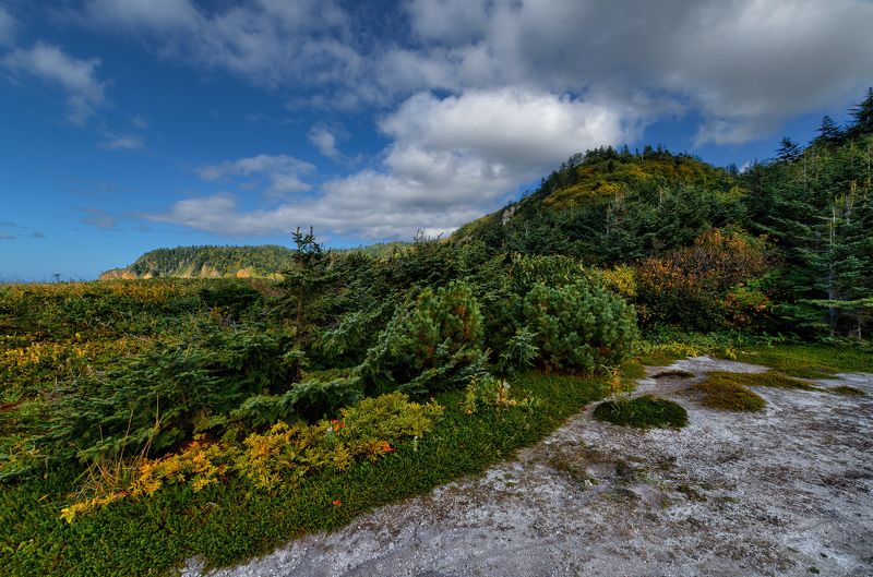Хожено не тронуто фото превью